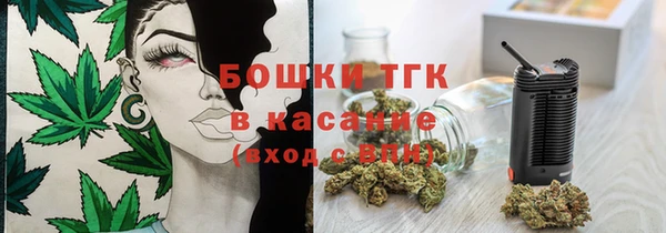 прущие грибы Верхний Тагил