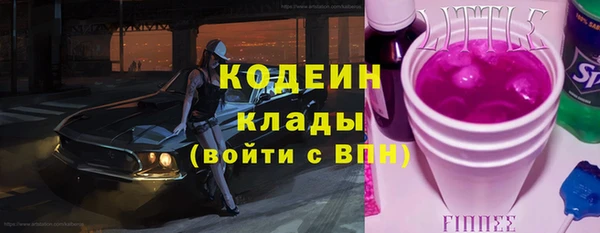 прущие грибы Верхний Тагил