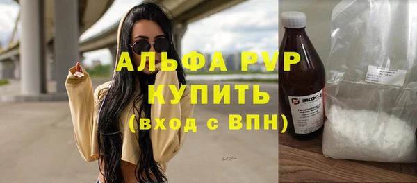 прущие грибы Верхний Тагил