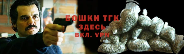 прущие грибы Верхний Тагил