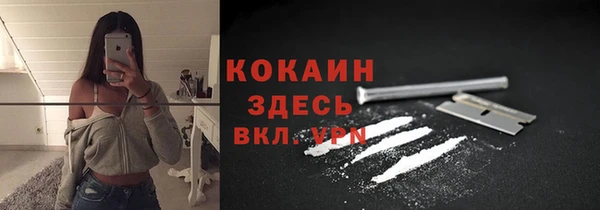 прущие грибы Верхний Тагил
