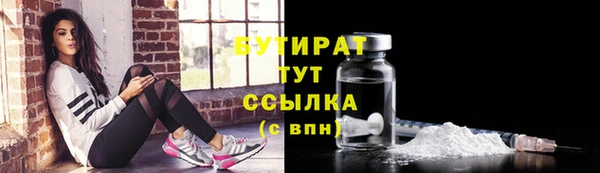 прущие грибы Верхний Тагил