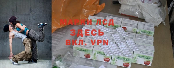 прущие грибы Верхний Тагил