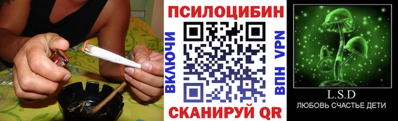 Купить где Липки Псилоцибиновые грибы MAGIC MUSHROOMS